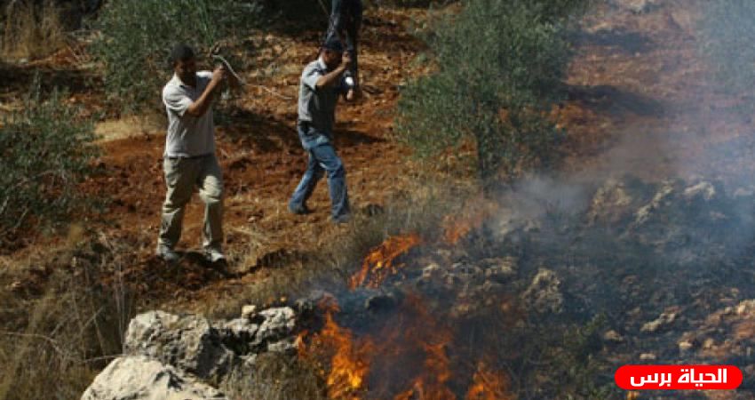 Israeli settlers set fire to Palestinian fields near Nablus